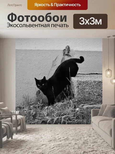 Фотообои Черная кошка на крыльце