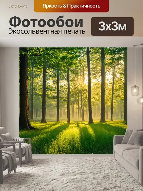 Фотообои утренний лес с росой на траве и мягким солнечным светом