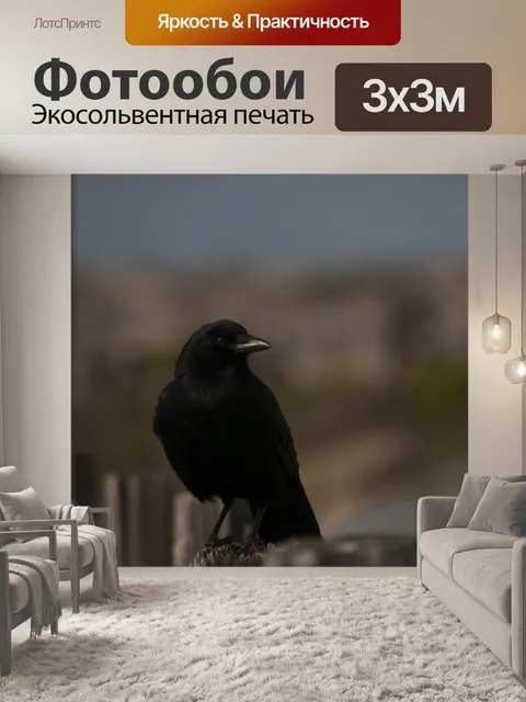 Фотообои ворона