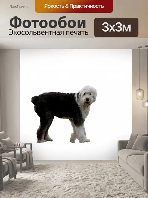 Фотообои Собака на белом фоне