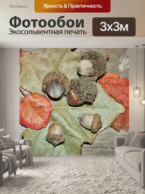 Фотообои Желуди на осенних листьях
