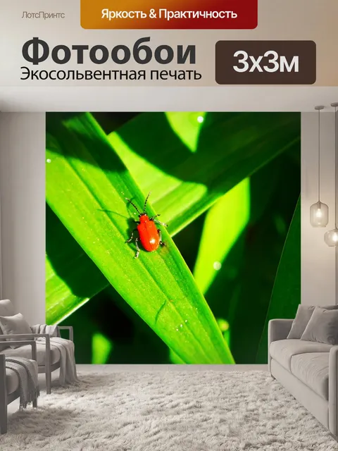 Фотообои Жук