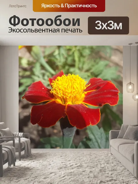 Фотообои Цветок