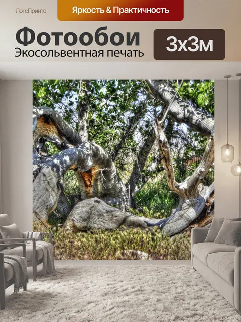 Фотообои Стволы деревьев
