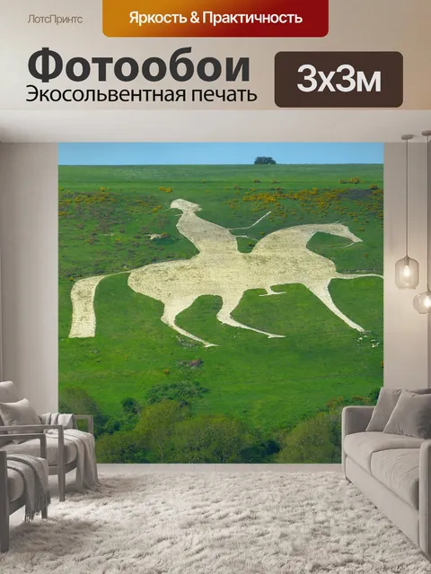 Фотообои Контур