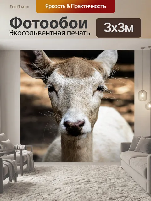 Фотообои Косуля
