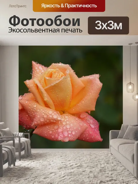 Фотообои Персик