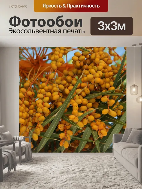 Фотообои Пальмовый цвет