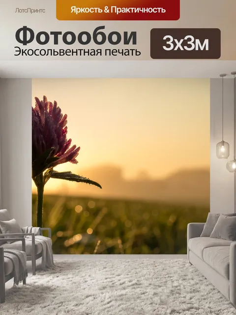 Фотообои Цветок клевера