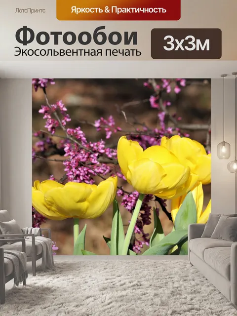 Фотообои Желтые тюльпаны и красные бутоны