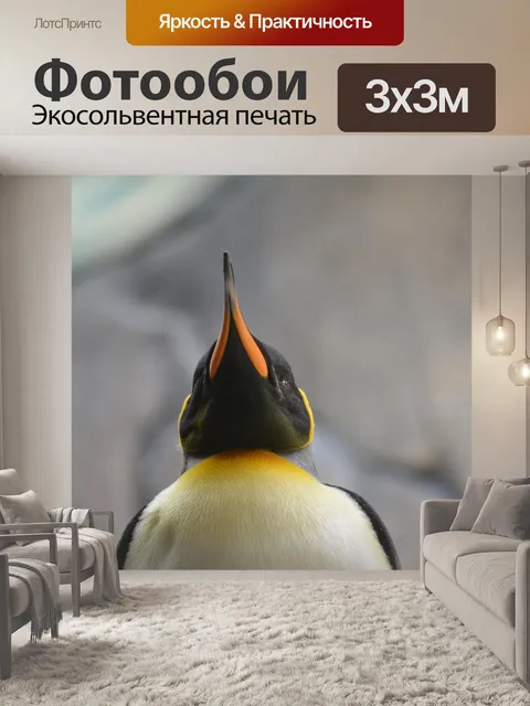 Фотообои Пингвин