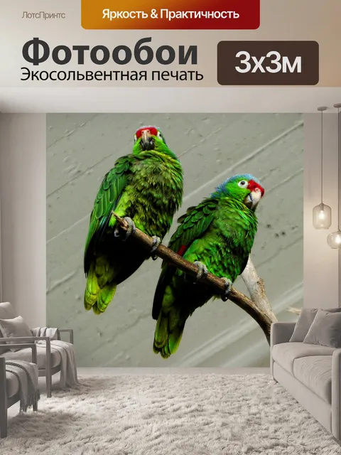 Фотообои Пара зеленых попугаев