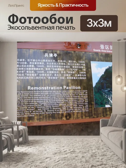 Фотообои Солдаты протест павильон