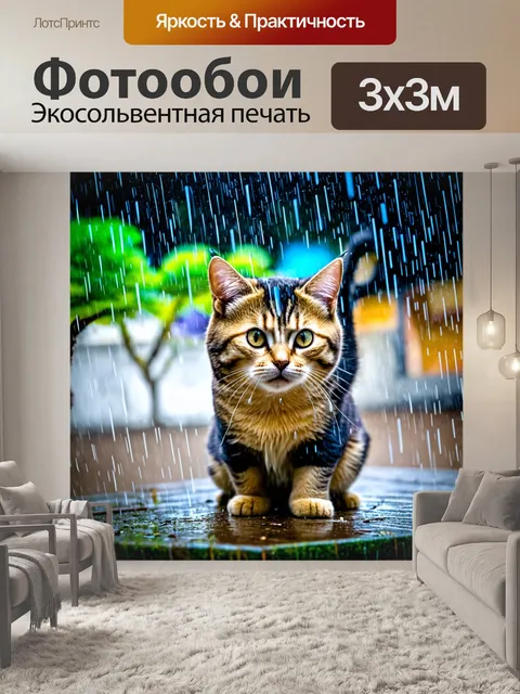 Фотообои коты, которые разыгрывают спектакль под дождем