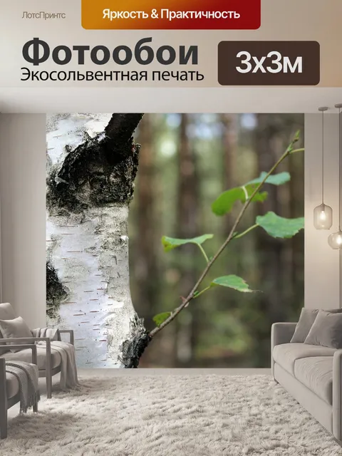 Фотообои Берёза