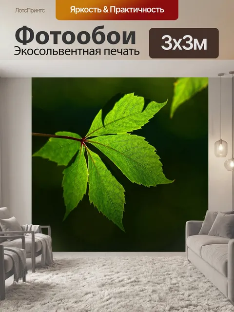 Фотообои Лист