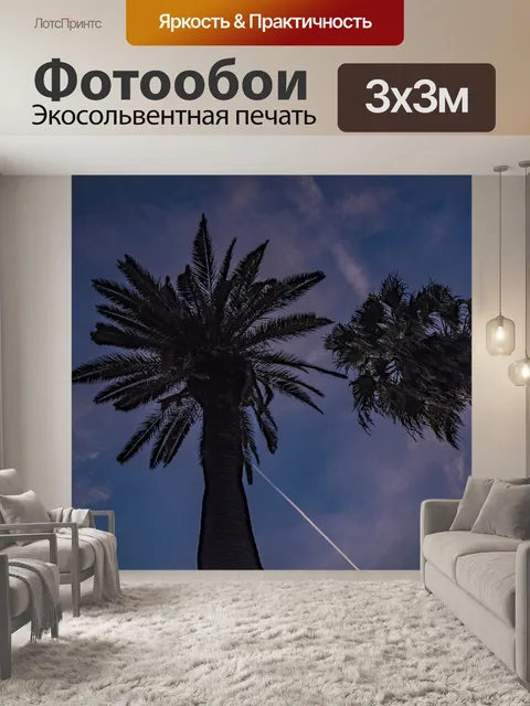 Фотообои Калифорнийские пальмы