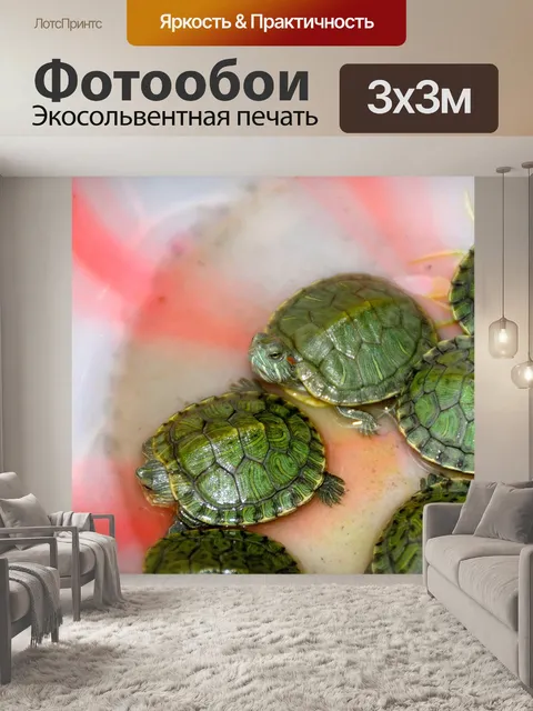 Фотообои Черепахи