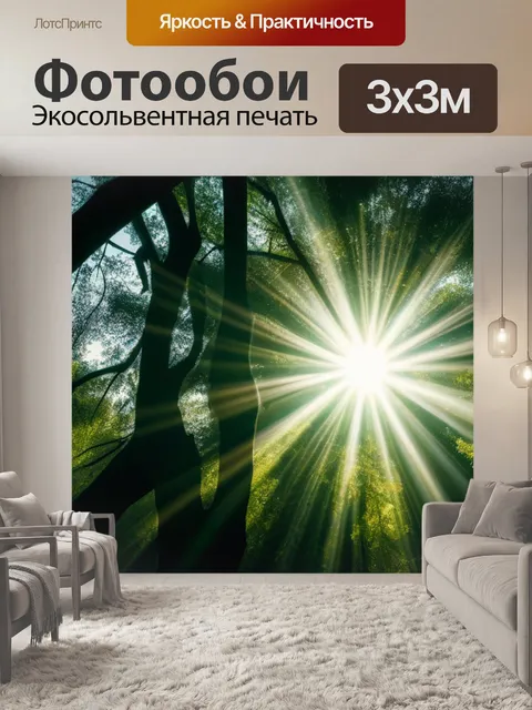 Фотообои солнечные лучи сквозь ветви деревьев
