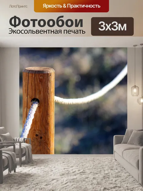 Фотообои Полюса