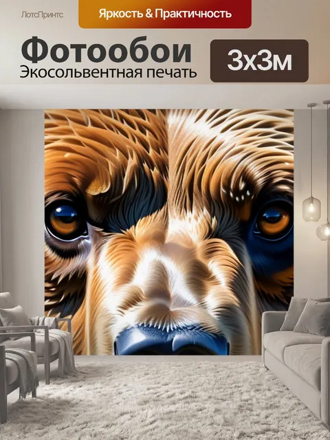 Фотообои с медведем смешной