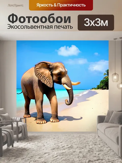 Фотообои слон, приехавший с отпуска на пляж в шортах