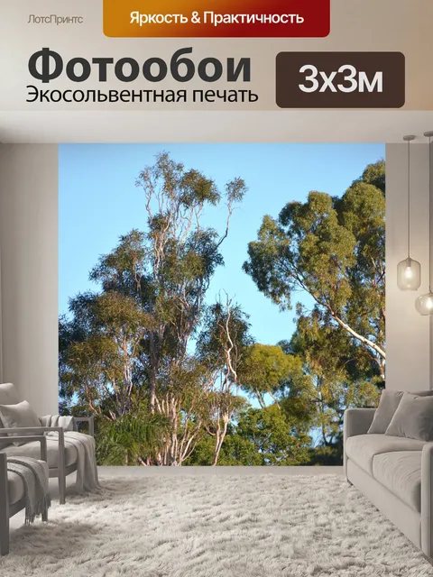 Фотообои Австралийские деревья