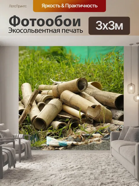 Фотообои Картинки