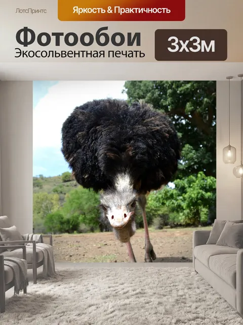 Фотообои Страус