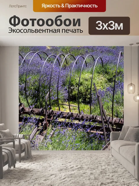 Фотообои Лавандовое поле