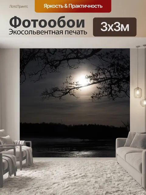 Фотообои Луна