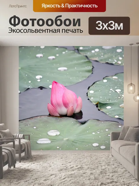 Фотообои Розовый цветок лотоса исчез