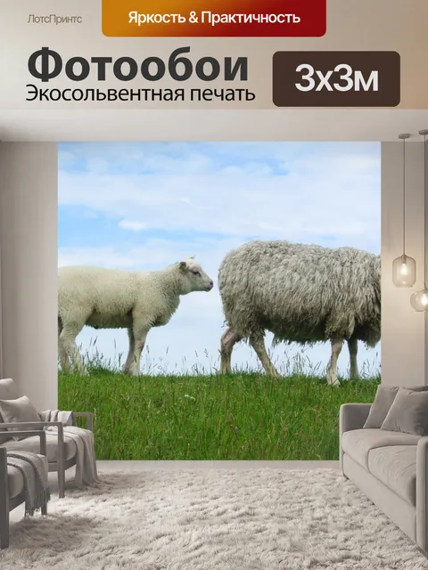 Фотообои Овец