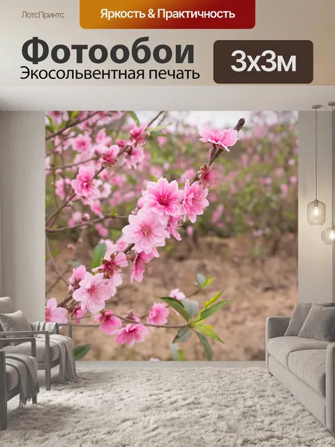 Фотообои Персик