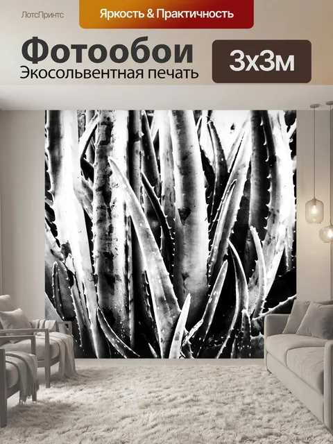 Фотообои Силуэт колючего алоэ вера