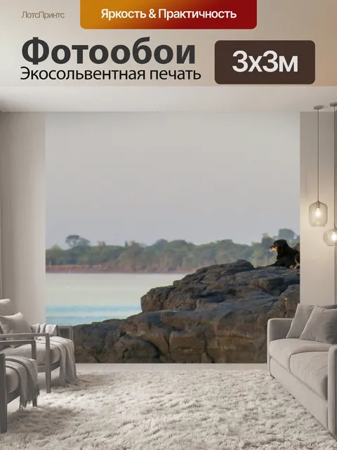 Фотообои Собака