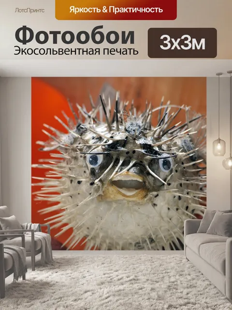 Фотообои Улыбаясь Blowfish