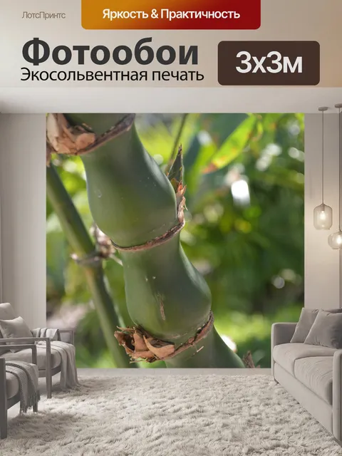 Фотообои Buddah живота Bamboo