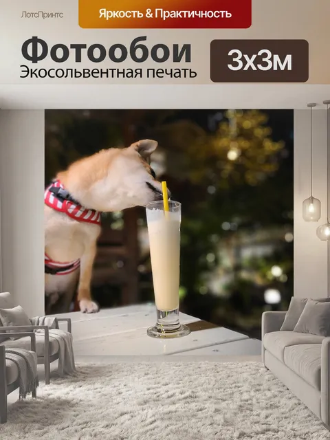 Фотообои Сиба ину