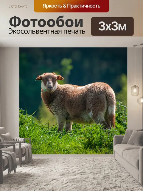 Фотообои Овца