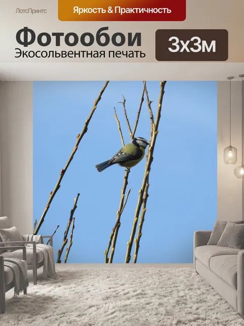 Фотообои Птица на ветке