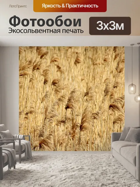 Фотообои Трава