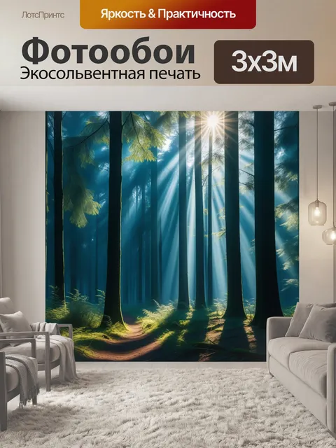 Фотообои лес в лучах утреннего солнца