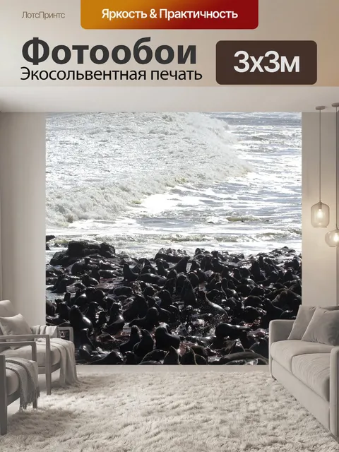 Фотообои Тюлень