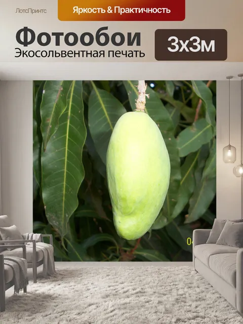 Фотообои Манго