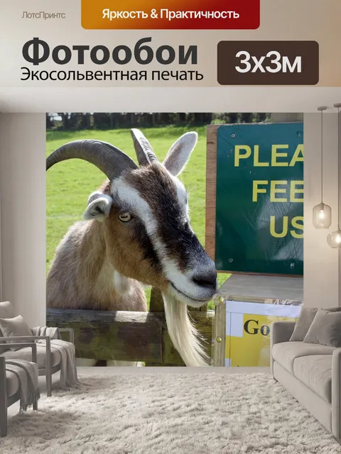 Фотообои Козел