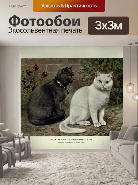 Фотообои Кошка котенок рисует старый