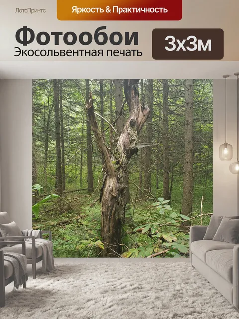 Фотообои Твистое дерево