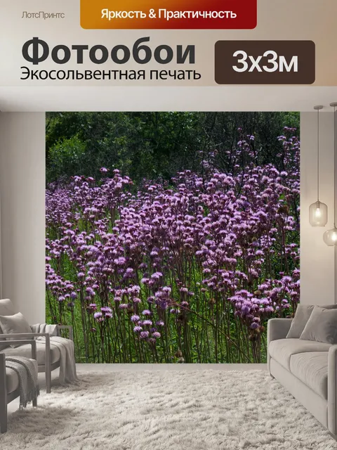 Фотообои розовые цветы с помпонами захватчика