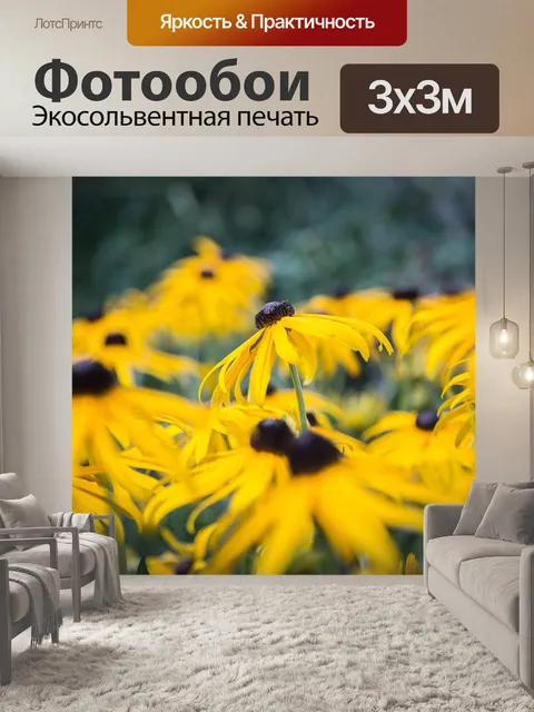Фотообои Эхинацея